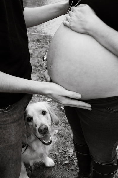 Séance photo de grossesse Grenoble. Photo de grossesse en couple